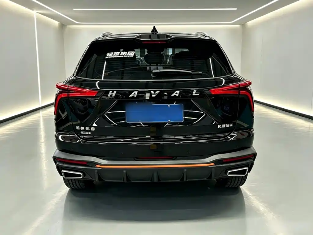 Haval Shenshou — миниатюра 12