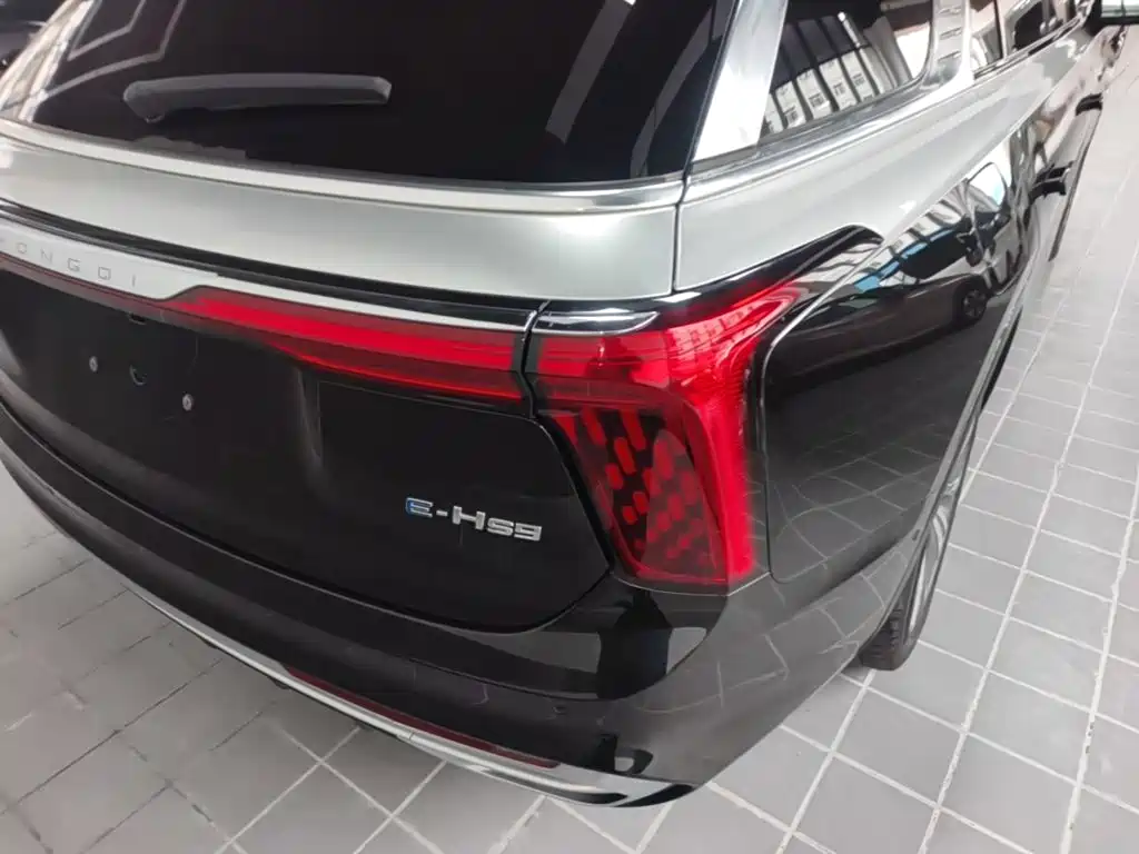 Hongqi Hongqi E-HS9 — миниатюра 8