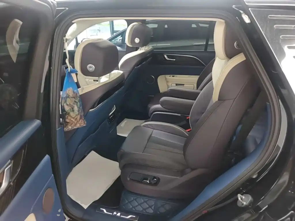 Hongqi Hongqi E-HS9 — миниатюра 17