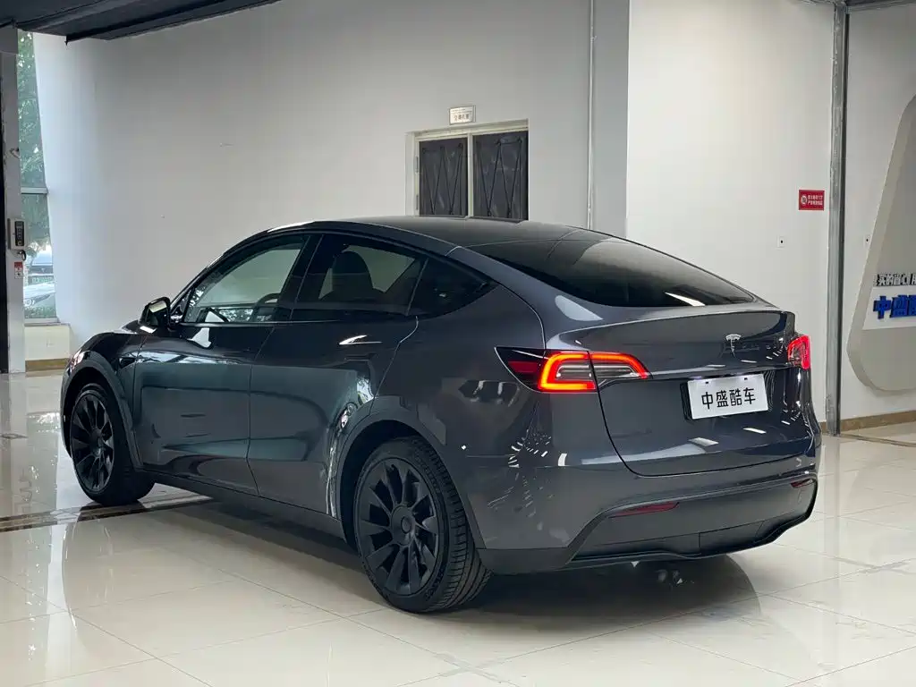 Tesla Model Y — миниатюра 23
