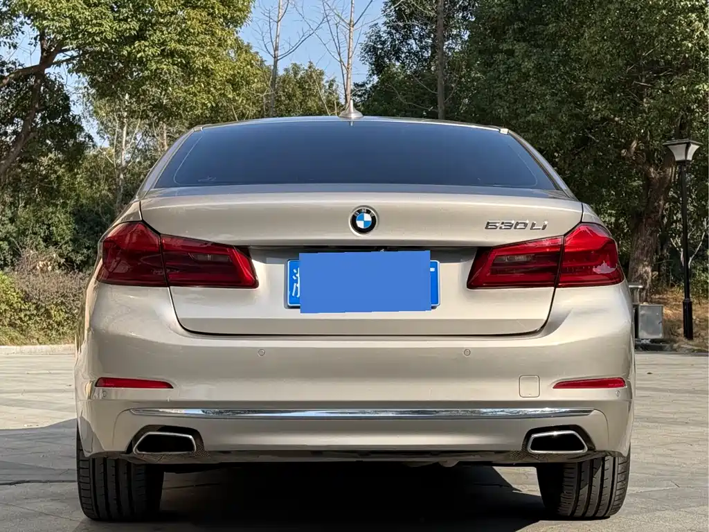 BMW 5 SERIES