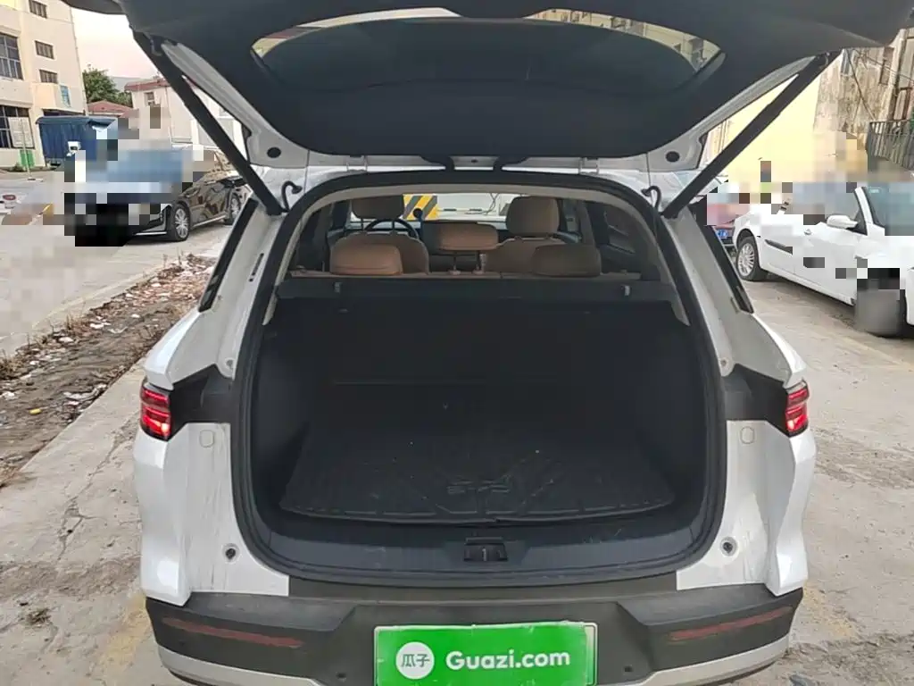 BYD Pro New Energy — миниатюра 19