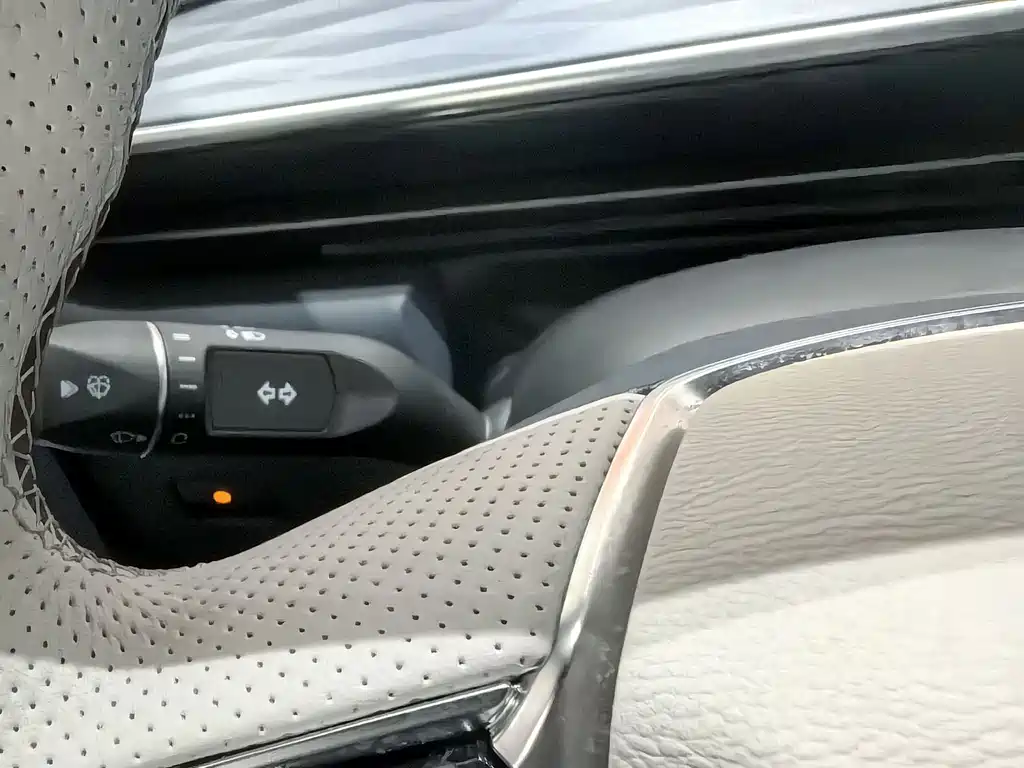 ARCFOX EXTREME FOX POLAR FOX ALPHA T5