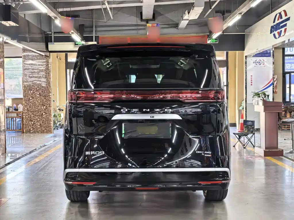 Denza Denza D9 — миниатюра 2