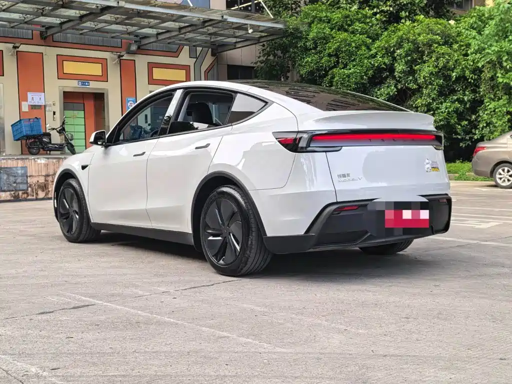 Tesla Model Y — миниатюра 16