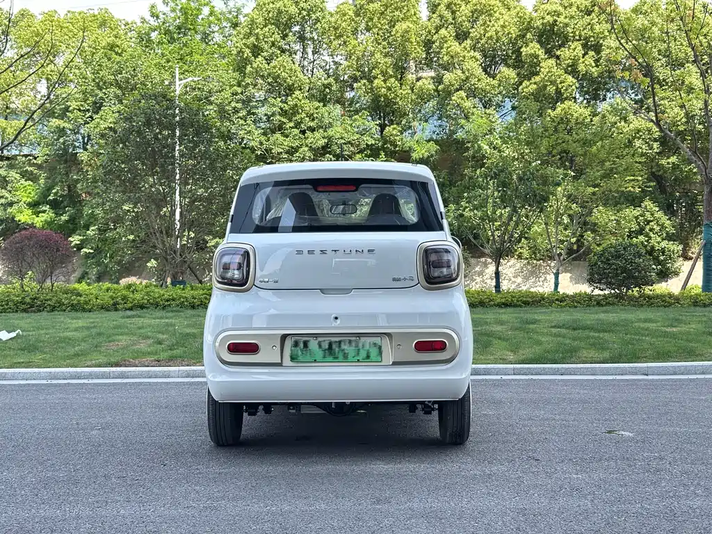 BESTUNE PENTIUM PONY