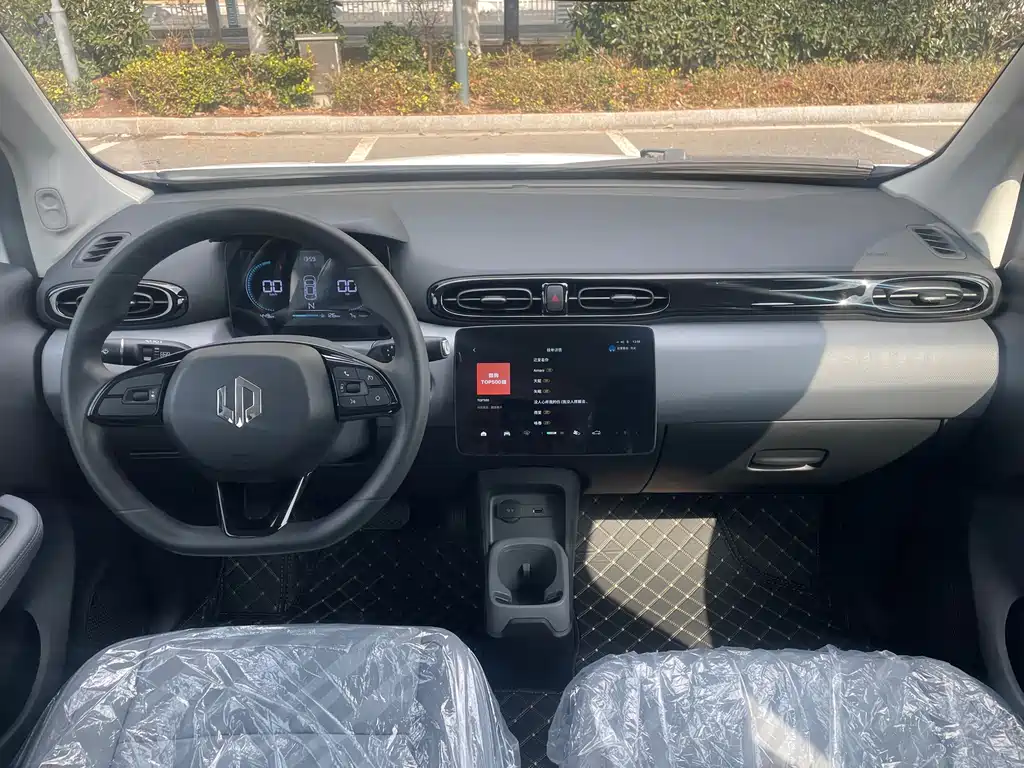 Leapmotor T03 2025 310