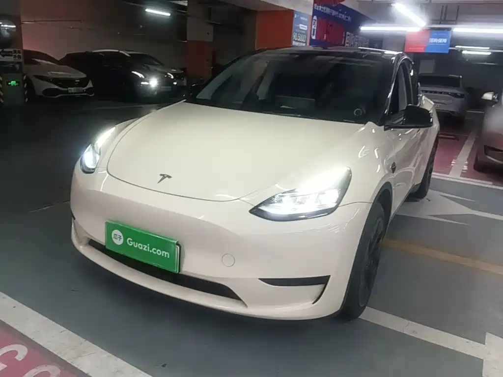 Tesla Model Y — миниатюра 2
