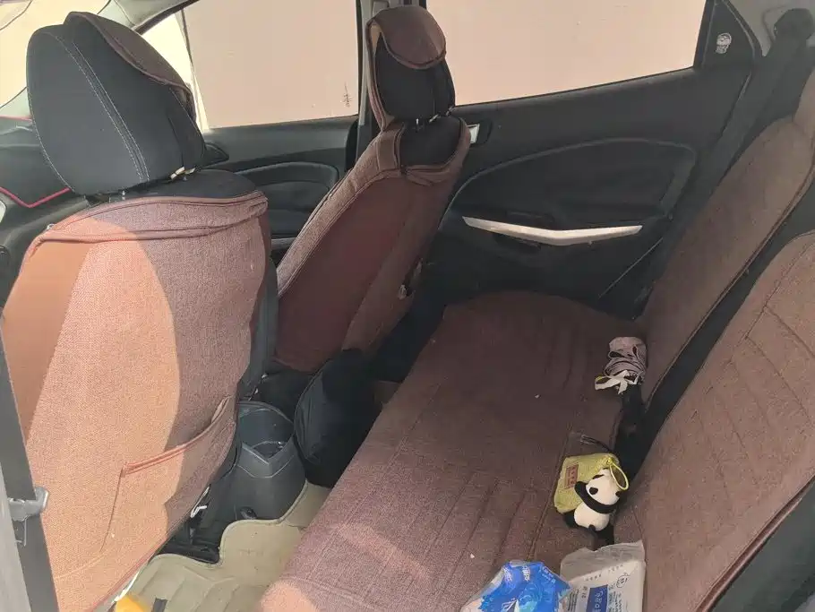 Ford Ecosport — миниатюра 11