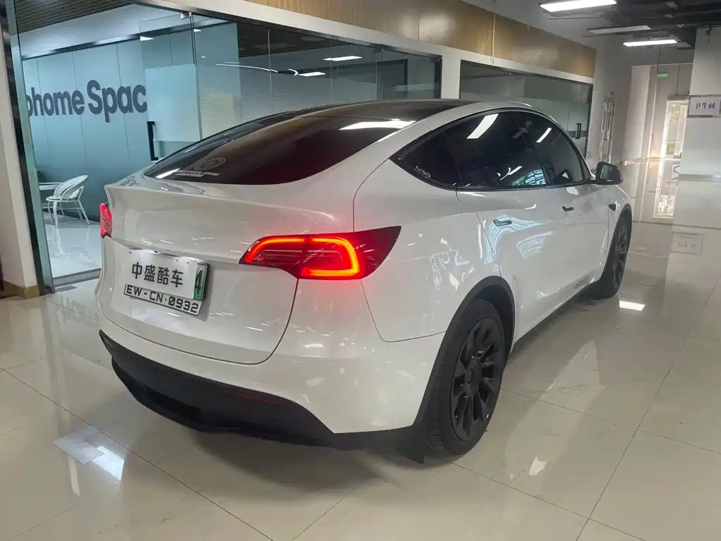 Tesla Model Y — миниатюра 4