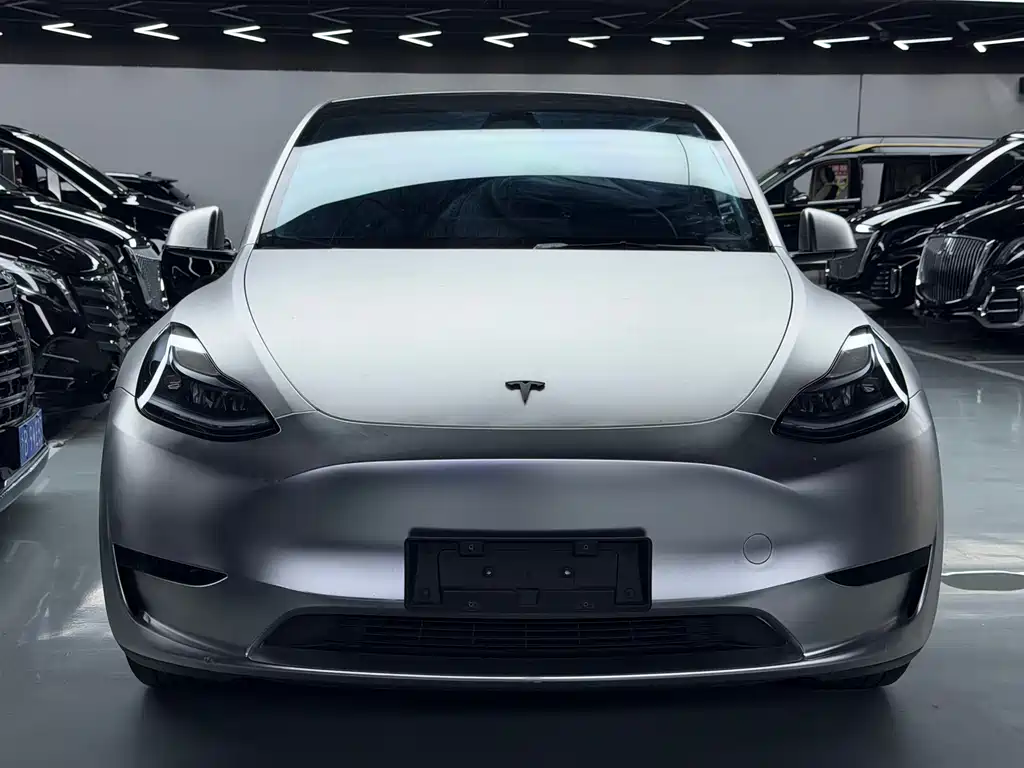 Tesla Model Y — миниатюра 2