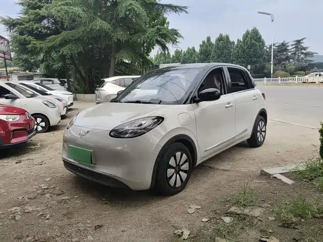 2023 Wuling Motors Binguo