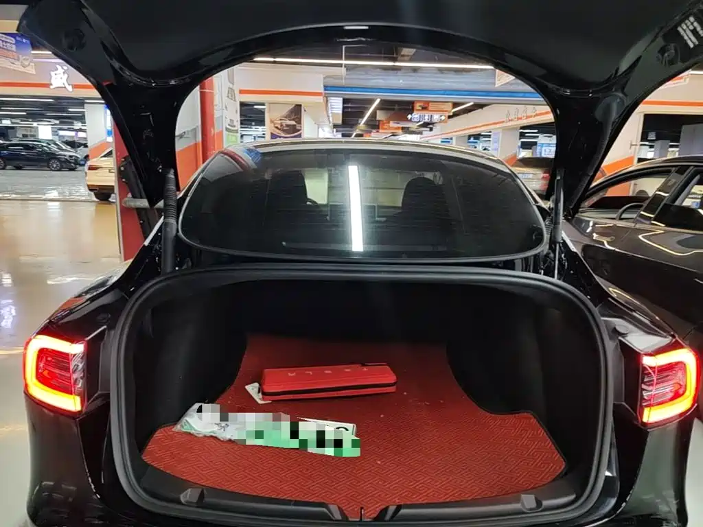 Tesla Model 3 — миниатюра 19