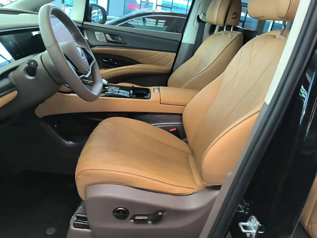 Denza Denza D9 — миниатюра 15