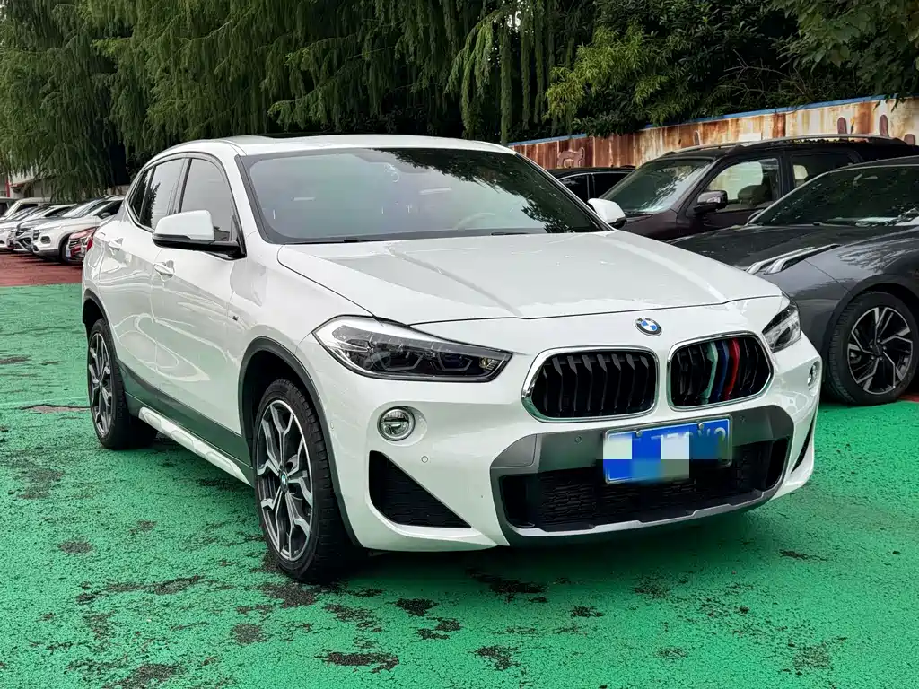 BMW X2 (Import) — миниатюра 13