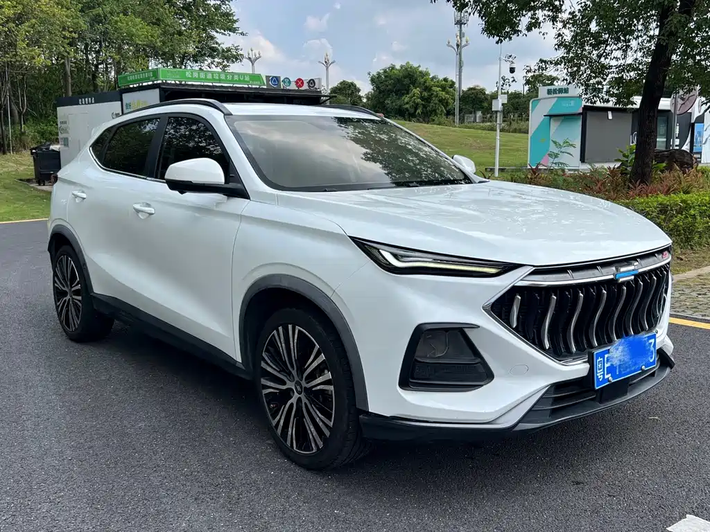 Oshan Oushang X5 — миниатюра 2