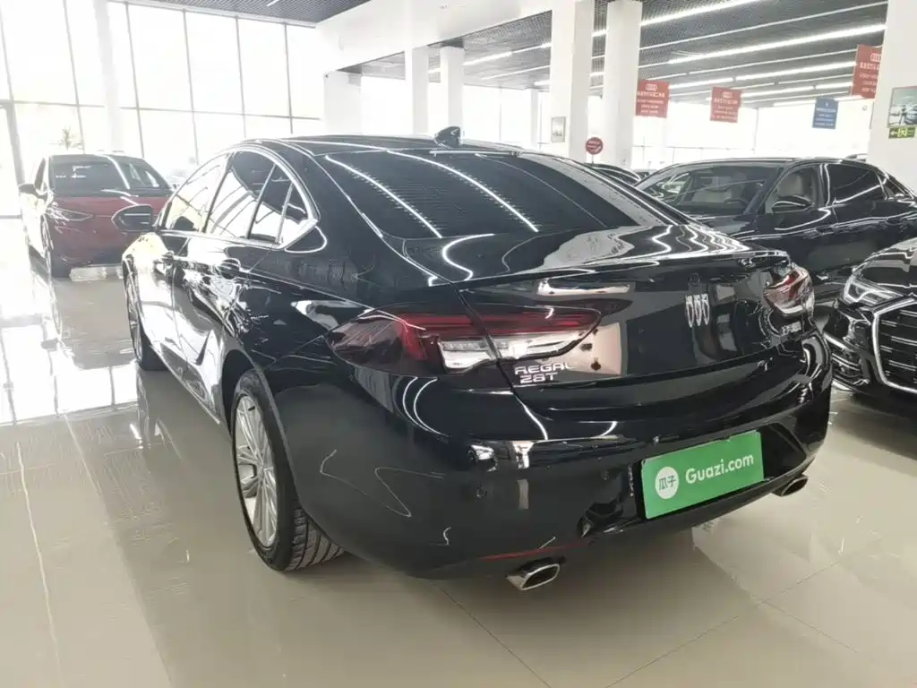 Buick Regal — миниатюра 5