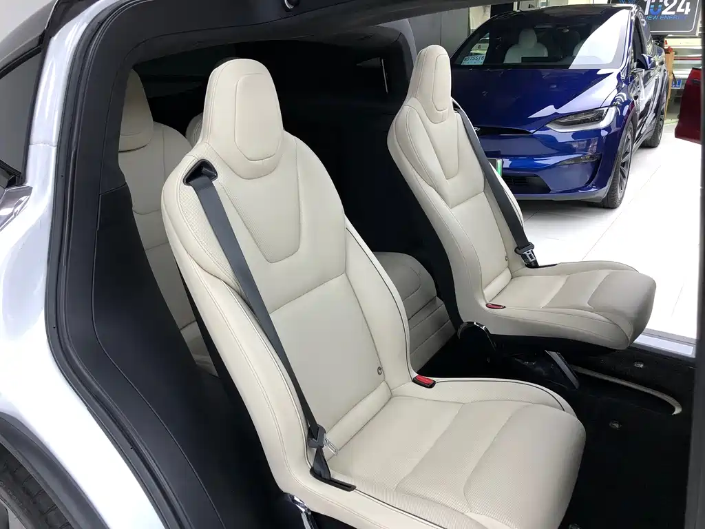 Tesla Model X — миниатюра 16
