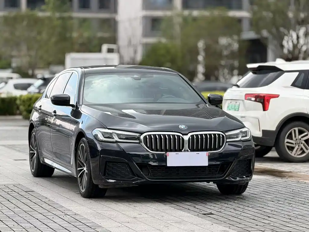 BMW 5 Series — миниатюра 2