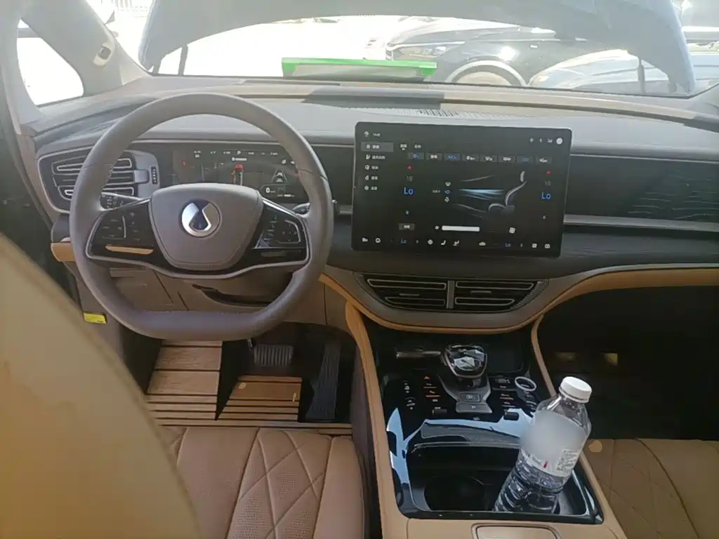 Denza Denza D9 — миниатюра 10
