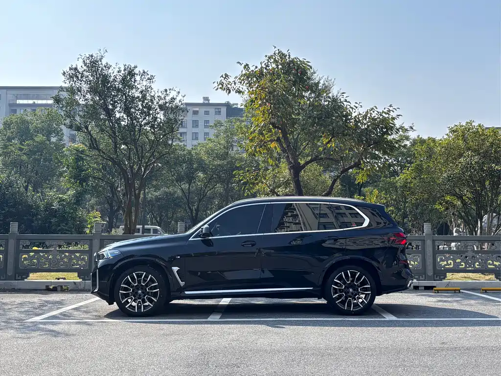 BMW X5 — миниатюра 3