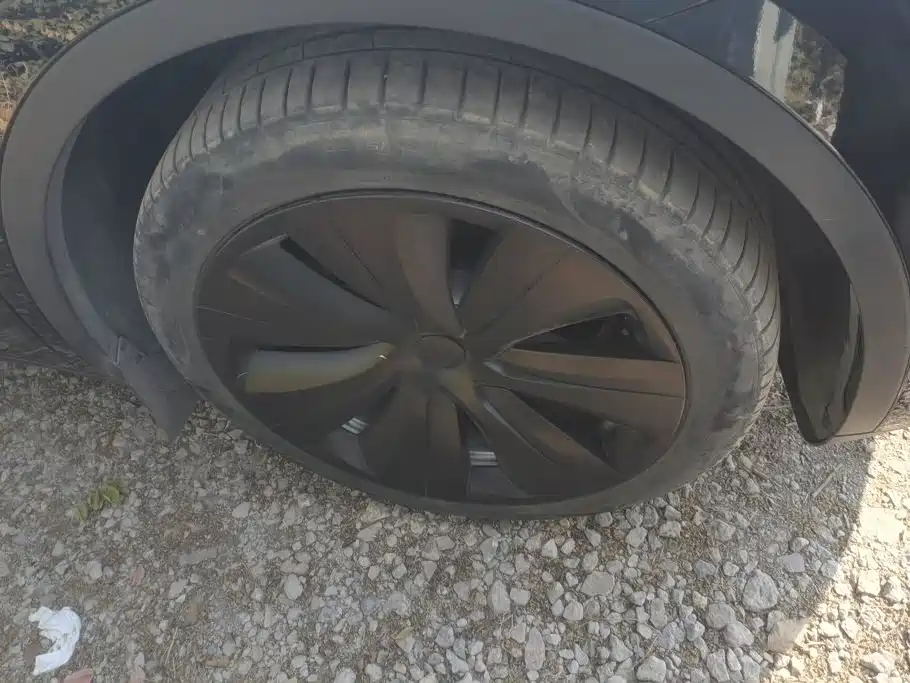 Tesla Model Y — миниатюра 6