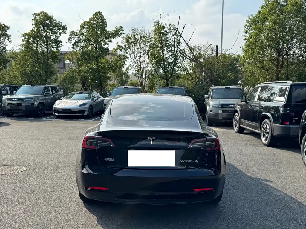 Tesla Model 3 — миниатюра 14