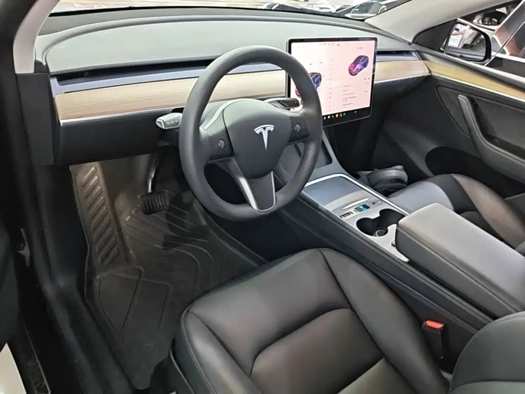 Tesla Model Y — миниатюра 10