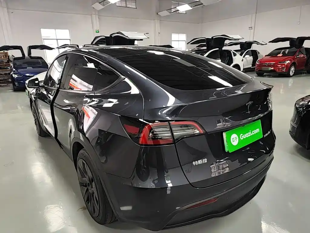 Tesla Model Y — миниатюра 5