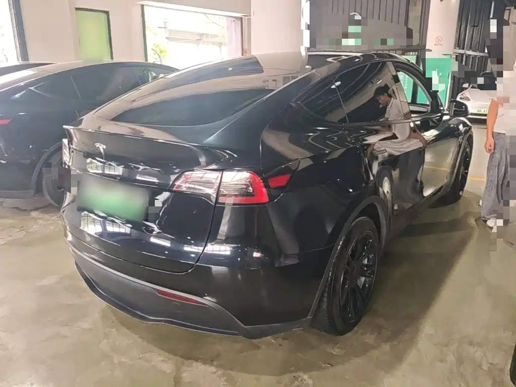 Tesla Model Y — миниатюра 7