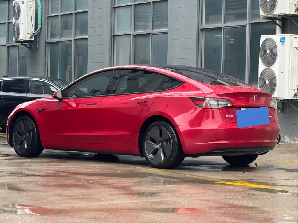 Tesla Model 3 2021 3D6