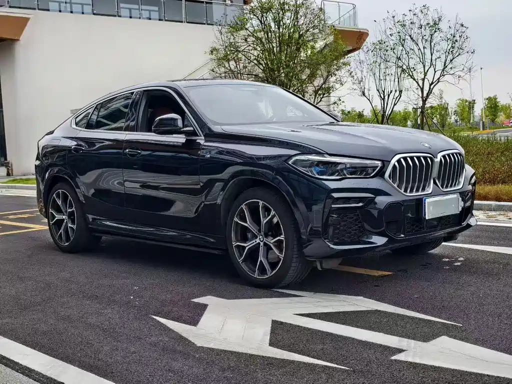 BMW X6 — миниатюра 3