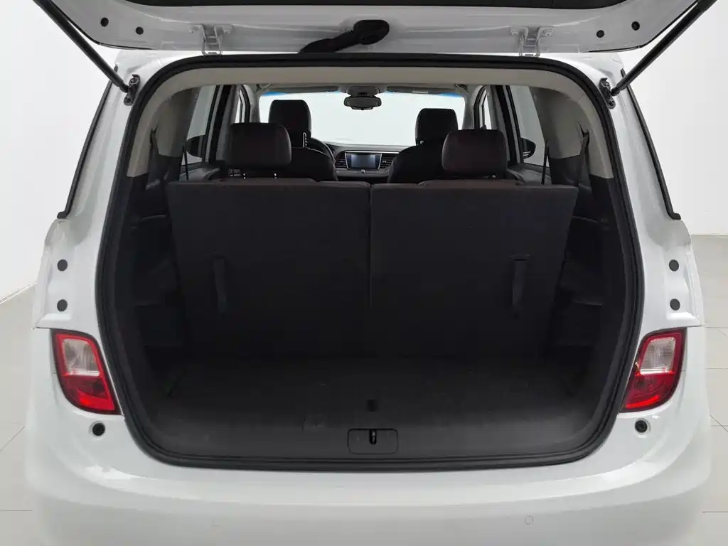 Buick GL6 — миниатюра 16