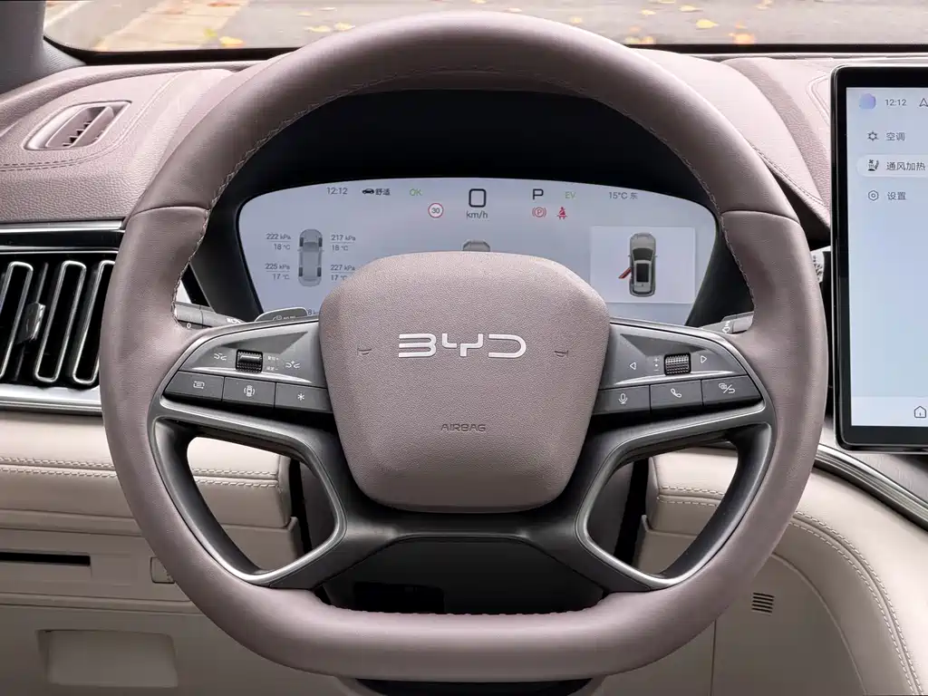 BYD SONGJIANG NEW ENERGY