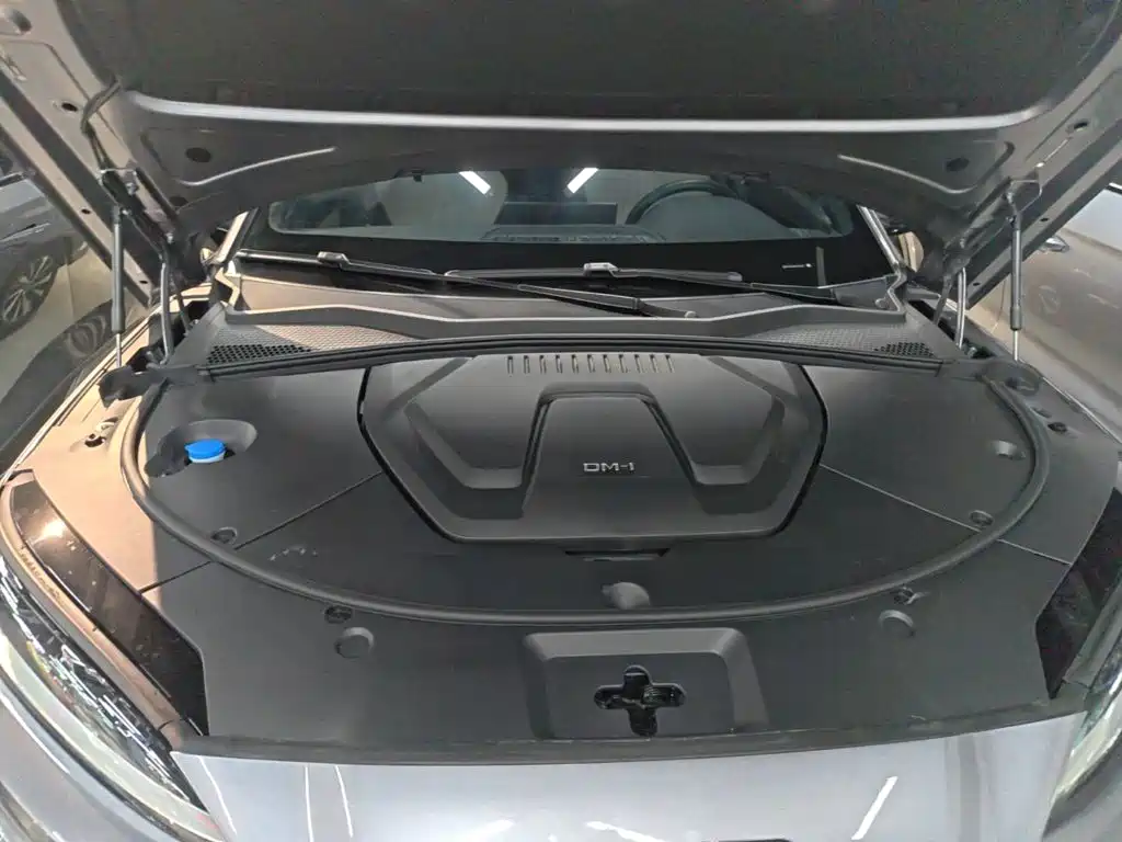 BYD PLUS New Energy — миниатюра 20