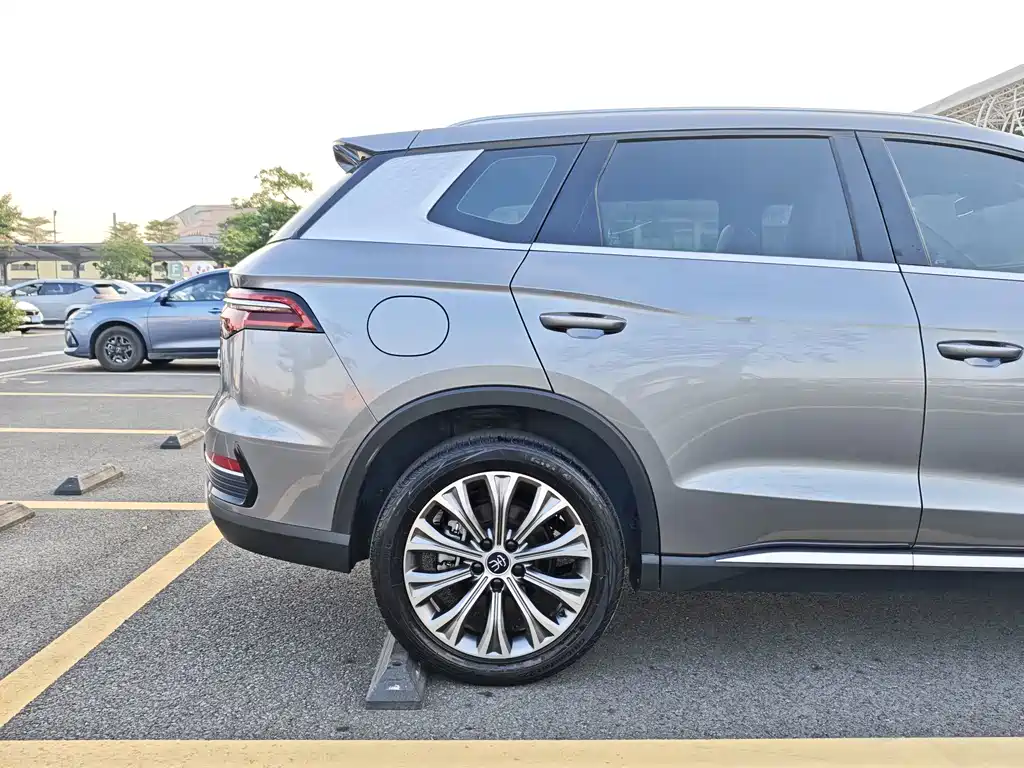 BYD Pro New Energy — миниатюра 27