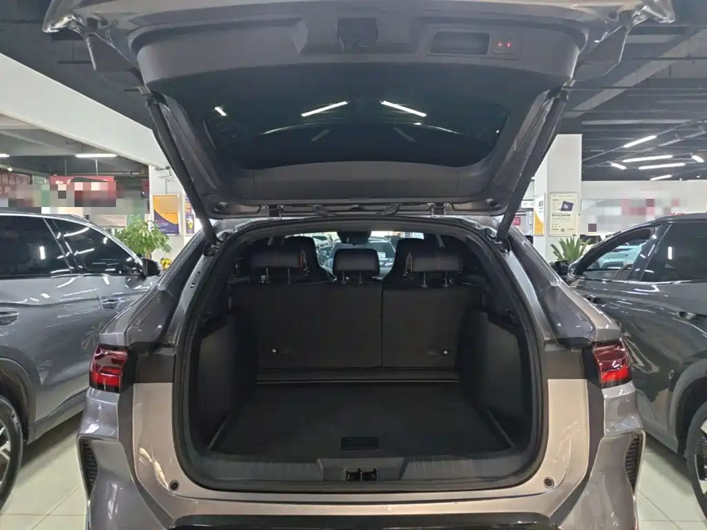 BYD PLUS New Energy — миниатюра 19