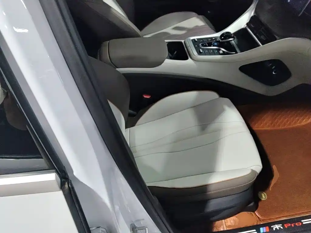 BYD Pro New Energy — миниатюра 25