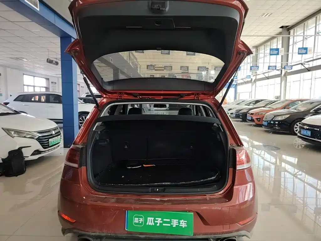 Volkswagen Golf — миниатюра 19