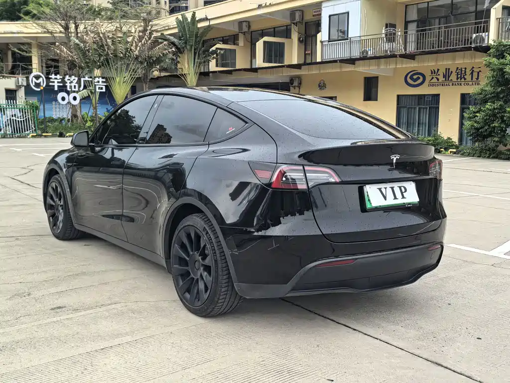 Tesla Model Y — миниатюра 5