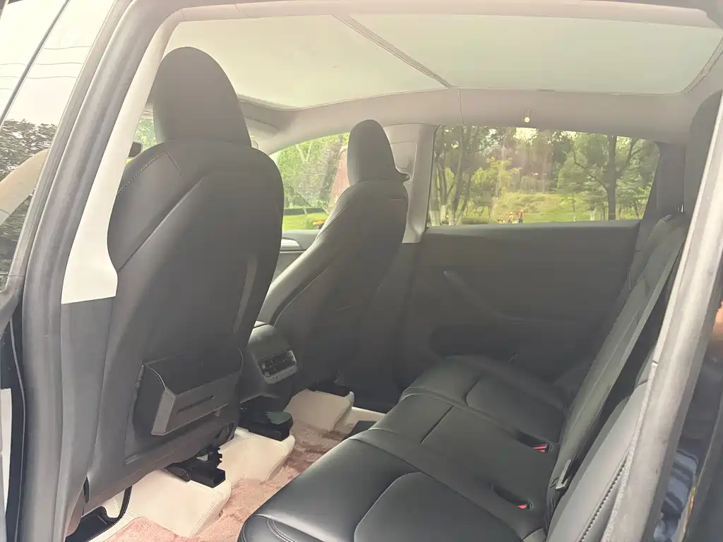 Tesla Model Y — миниатюра 6