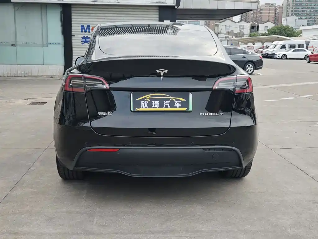 Tesla Model Y — миниатюра 5