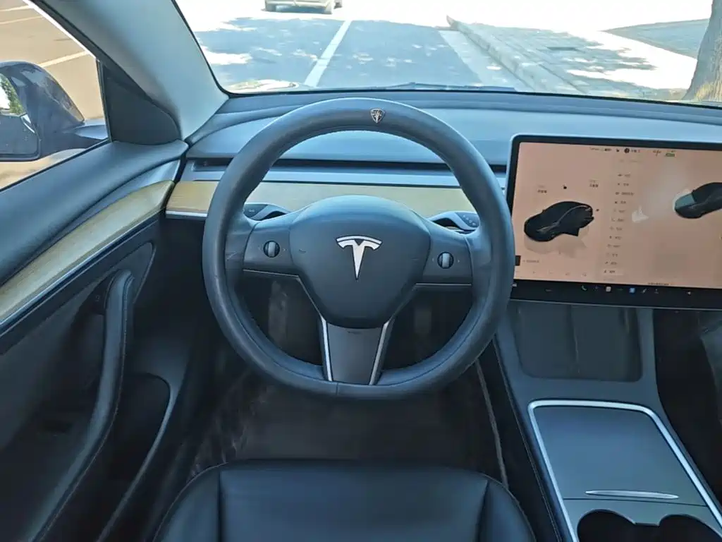 Tesla Model 3 — миниатюра 11