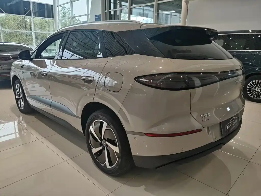 BYD Sealion 06 — миниатюра 7