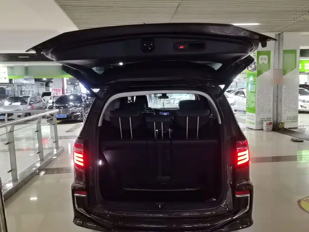 Honda Elysion — миниатюра 19