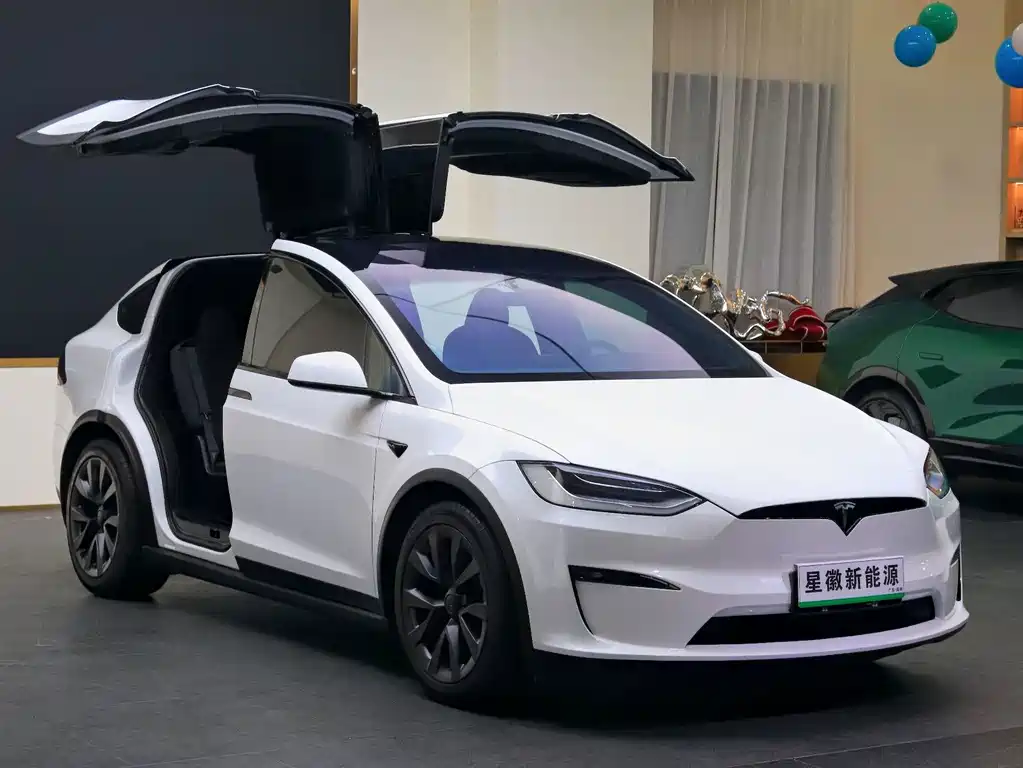 Tesla Model X — миниатюра 3