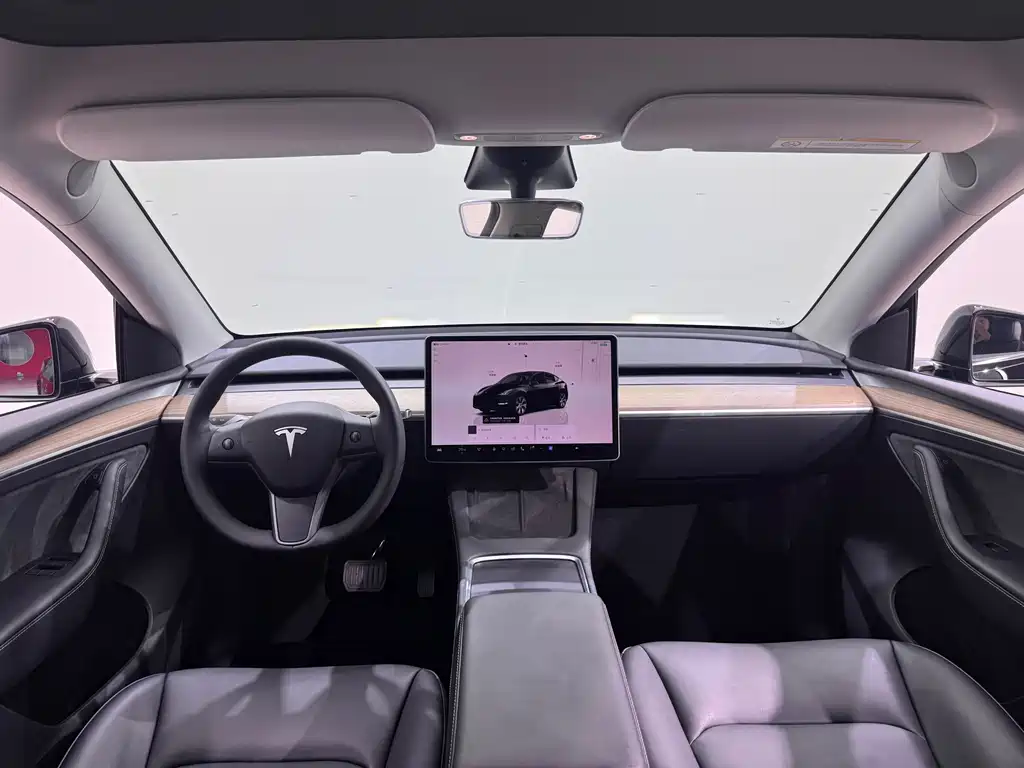 Tesla Model Y — миниатюра 11