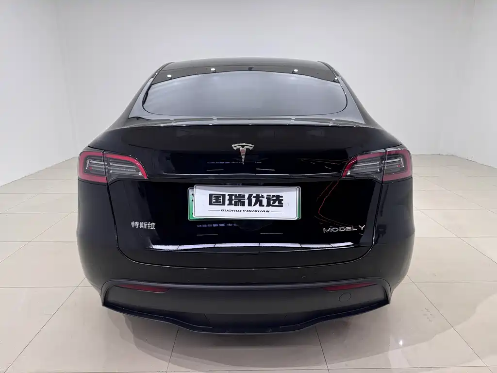 Tesla Model Y — миниатюра 5