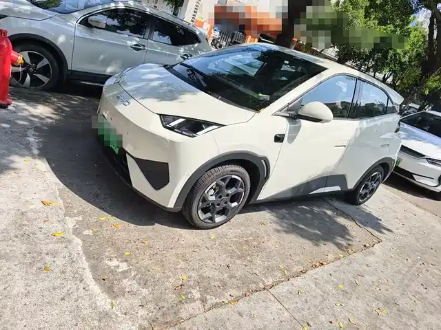 2025 BYD Seagull