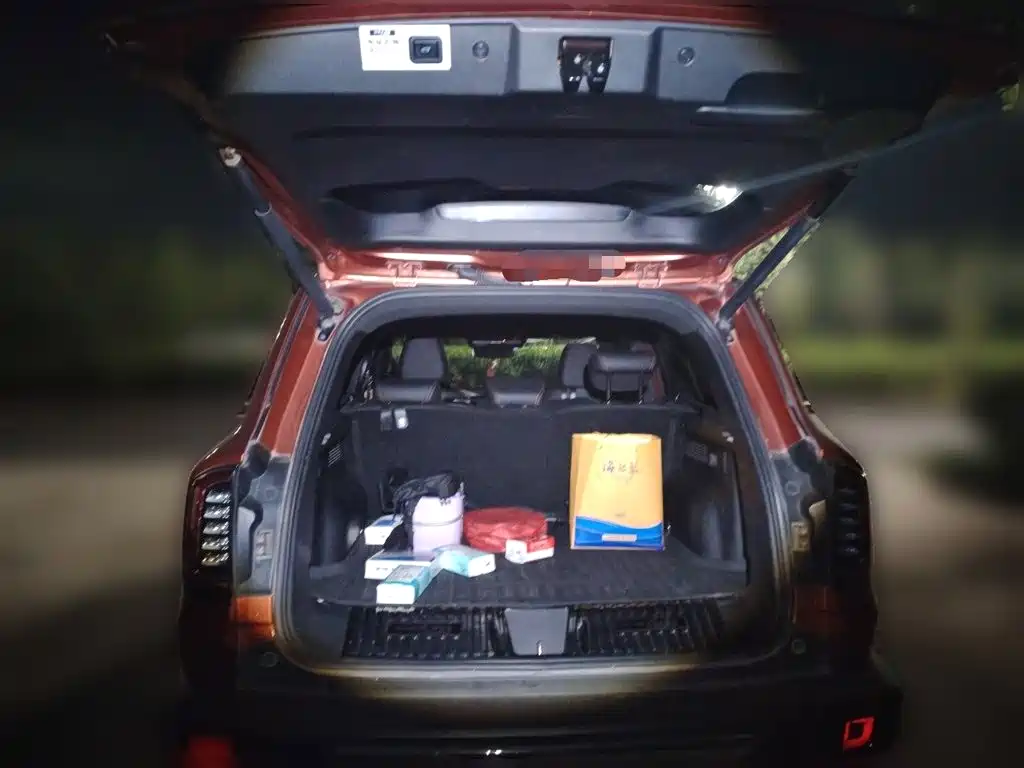Haval Big Dog — миниатюра 20